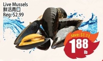 Field Fresh Supermarket Live Mussels offer