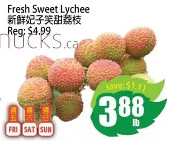 Field Fresh Supermarket Fresh Sweet Lychee offer