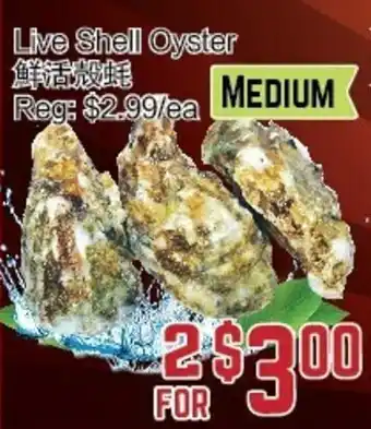C&C Supermarket Live Shell Oyster offer