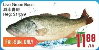 C&C Supermarket Live Green Bass offer