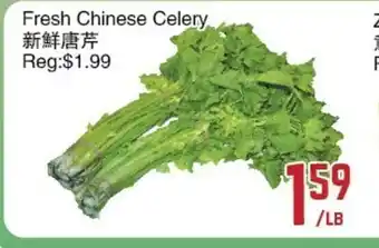 Fresh Chinese Celery