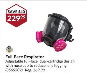 Princess Auto Full-face respirator offer