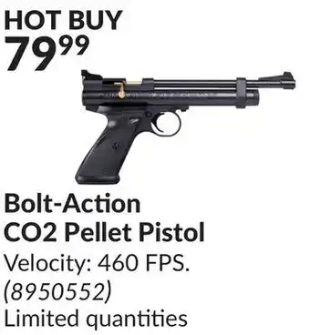Princess Auto Bolt-action co2 pellet pistol offer