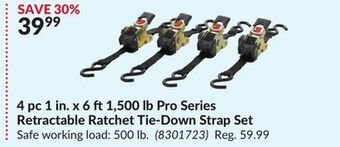 Princess Auto 4 pc 1 in. x 6 ft1,500 lb pro series retractable ratchet tie-down strap set offer