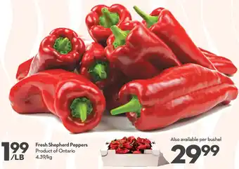 Longo's Fresh Shepherd Peppers 4.39Kg offer