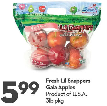 Longo's Fresh Lil Snappers Gala Apples 3lb offer