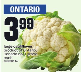Independent Grocer Large cauliflower offer
