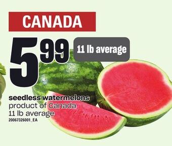 Independent Grocer Seedless watermelons, 11 lb average offer