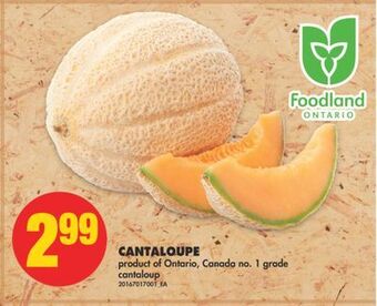 No Frills Cantaloupe offer
