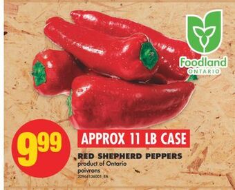 No Frills Red shepherd peppers offer