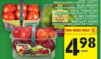 Food Basics Blue plums or blue grapes or field tomatoes or nectarines or bartlett pears offer