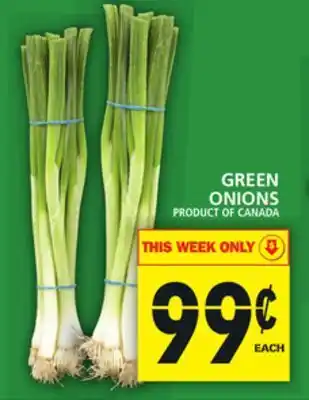 Food Basics Green onions offer