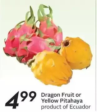 Sobeys Dragon fruit or yellow pitahaya offer