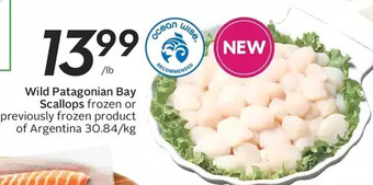 Sobeys Wild patagonian bay scallops offer