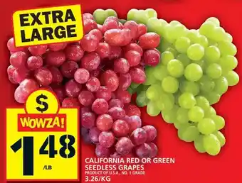 Food Basics California red or green seedless grapes offer