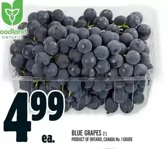 Metro Blue grapes offer