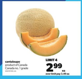 Real Canadian Superstore Cantaloupe offer