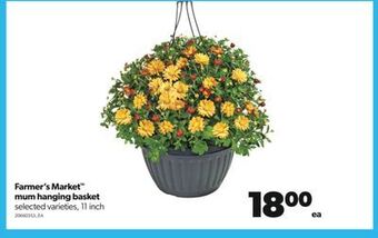 Real Canadian Superstore Farmer's market™ mum hanging basket, 11 inch offer