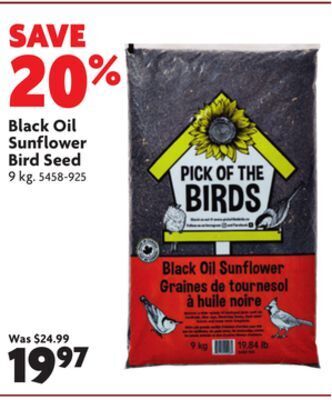 Home Hardware Black oil sunflower bird seed offer