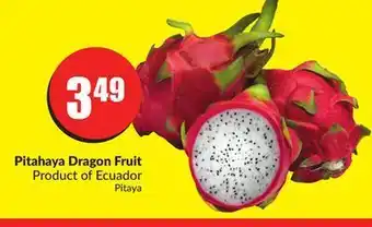 FreshCo Pitahaya dragon fruit product of ecuador offer