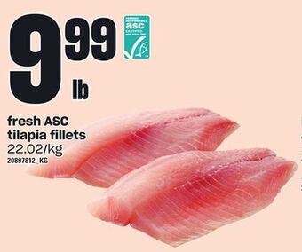 Loblaws Fresh asc tilapia fillets offer