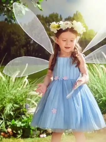 SheIn Shein toddler girls square neck floral appliques mesh party dress offer