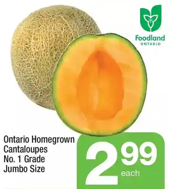 Highland Farms Ontario homegrown cantaloupes offer