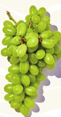 Longo's Fresh green seedless grapes offer