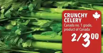 Farm Boy Crunchy celery offer