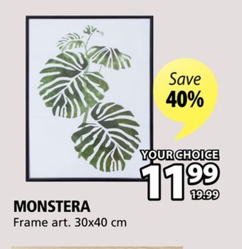 JYSK Monstera frame art offer