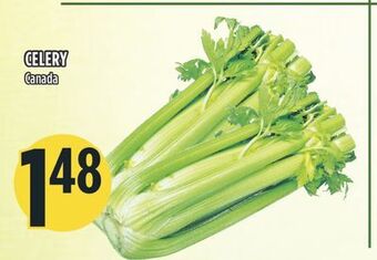 Marché Adonis Celery offer