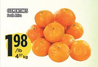 Marché Adonis Clementines offer