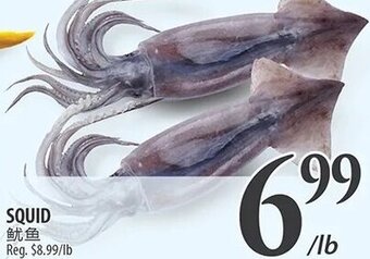 Al Premium Food Mart Squid offer