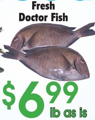 Danforth Food Market Fresh Doctor Fish offer
