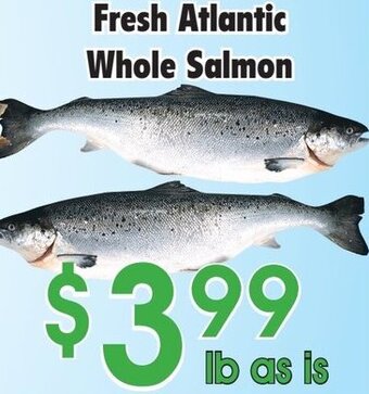 Danforth Food Market Fresh Atlantic Whole Salmon offer