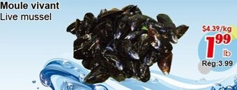 Marche C&T Moule Vivant offer