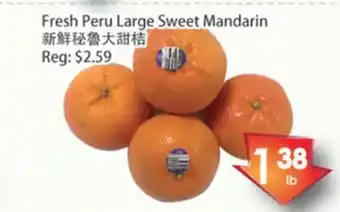 Fresh peru large sweet mandarin