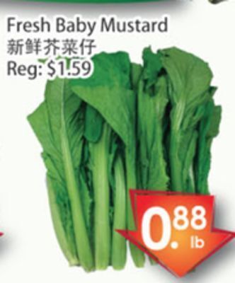 Fresh Palace Supermarket Fresh baby mustard offer