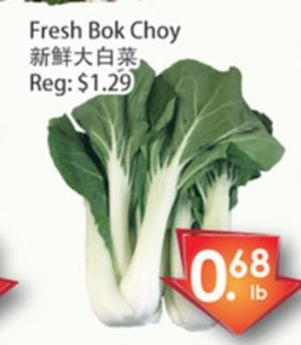 Fresh Palace Supermarket Fresh bok choy offer