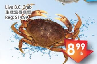 Fresh Palace Supermarket Live b.c. crab offer