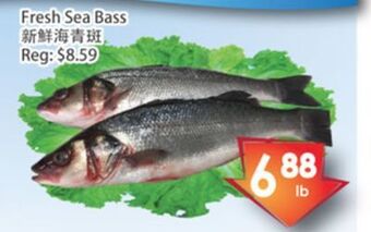 Fresh Palace Supermarket Fresh sea bass offer