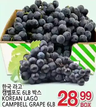 H-Mart Korean lago campbell grape offer