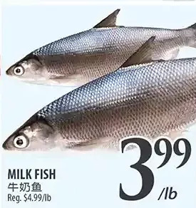 Al Premium Food Mart Milk fish offer