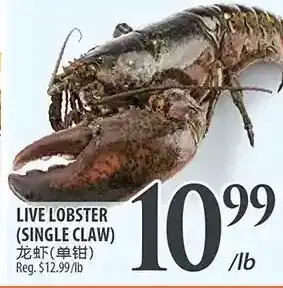 Al Premium Food Mart Live lobster (single claw) offer