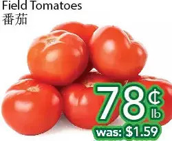 Field tomatoes