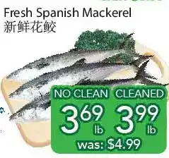 Ample Food Market Fresh spanish mackerel offer