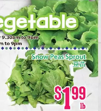 Grant's Foodmart Snow peas sprout offer