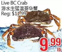 Hong Tai Supermarket Live bc crab offer