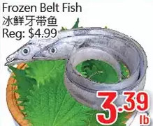 Frozen belt fish