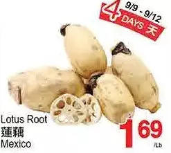 T&T Supermarket Lotus root offer